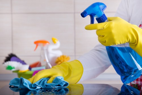 Local cleaner working in a SW10 residential property