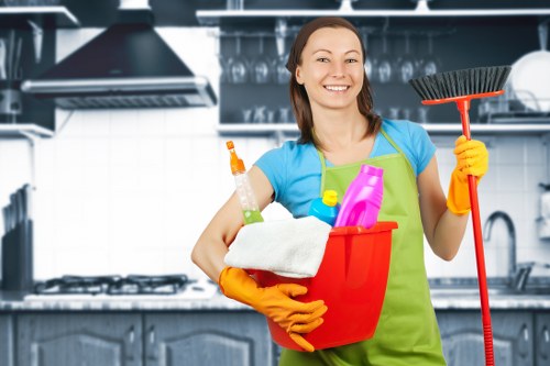 Domestic cleaning for a mixed property type in SW10