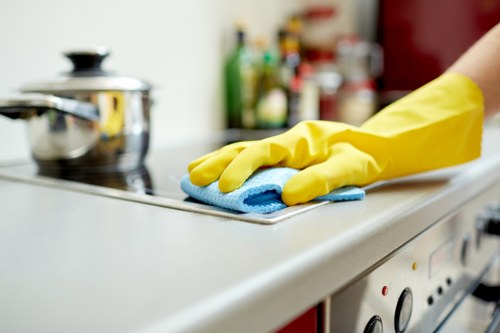 Reviewing a carpet cleaner complaint with service records and customer details