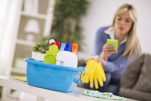 Carpet cleaner assessing risks in a room before starting work