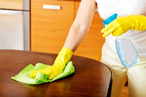 Local cleaners working in a SW10 flat with detailed care